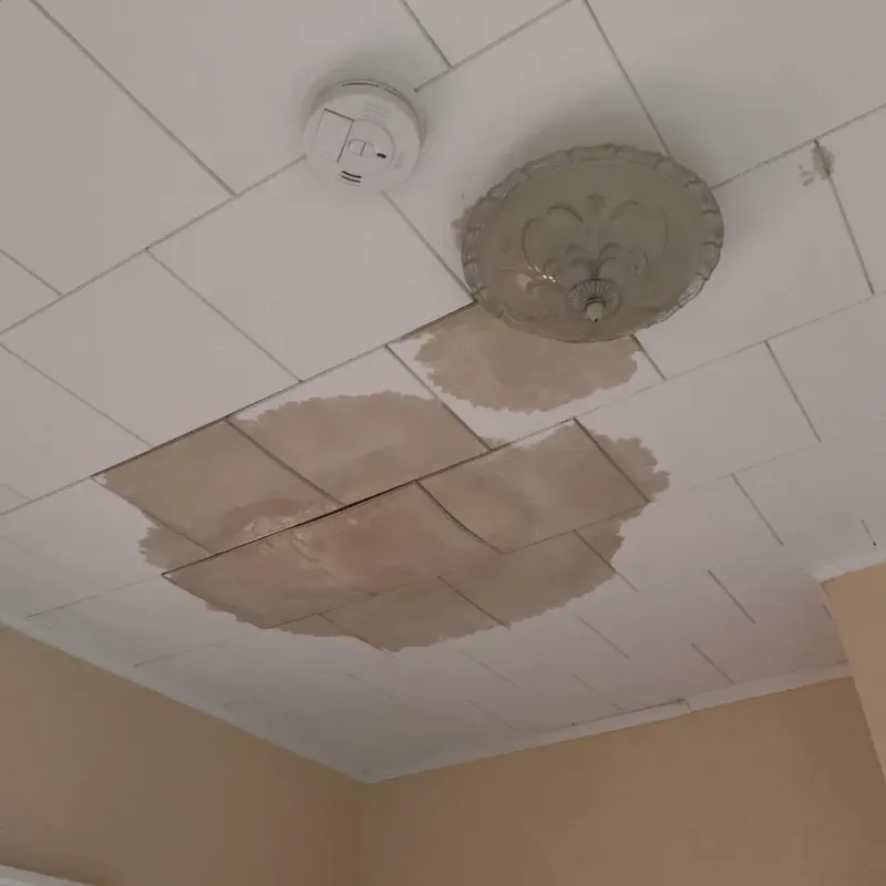 Ceiling Water Damage Repair in Stokes County, NC