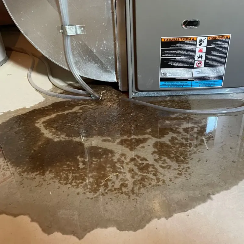 Pipe Burst and Leak Restoration in Stokes County, NC