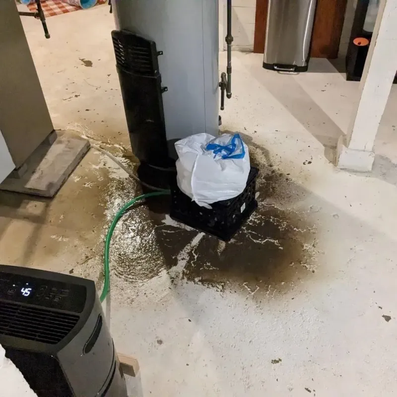 Sewage Backup Cleanup Service in Stokes County, NC